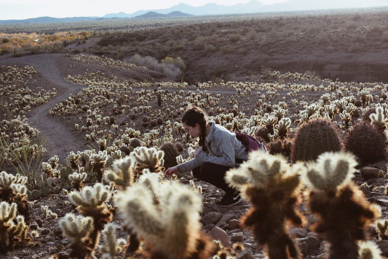 Portfolio | Haley in Arizona